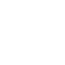 Icon for Expatriate Insurance